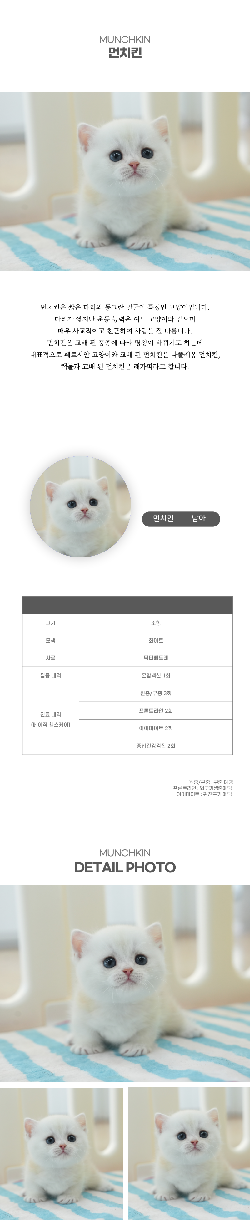먼치킨_상세이미지_2